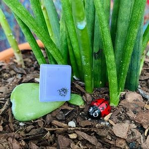 Sweet adjustable ladybug statement ring